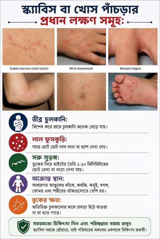 স্ক্যাবিসের লক্ষণ ও উপকারিতা বিষয়ক তথ্য